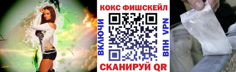 omg зеркало  купить закладку  Ефремов  COCAIN Fish Scale 