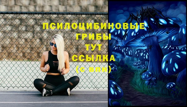 дурь Алексеевка