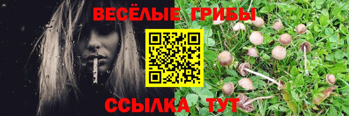 Псилоцибиновые грибы Psilocybine cubensis Ефремов